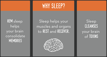 Bulletproof+Sleep+Infographic