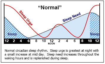 circadian-rhythm-of-an-individual1